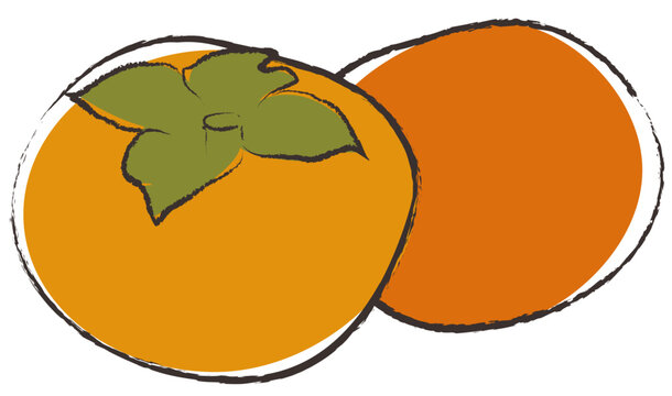  persimmon