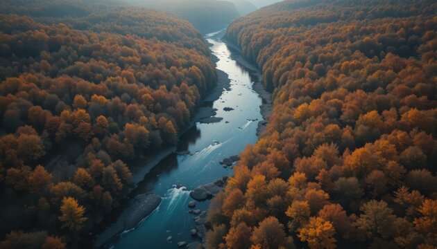 Aerial view of a river flowing through an autumn forest with vibrant foliage and stunning scenery