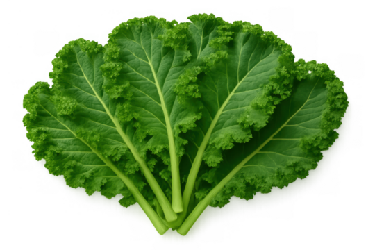 Group of fresh green kale leaves offering healthy food choices and superfood benefits, ideal for health-conscious living