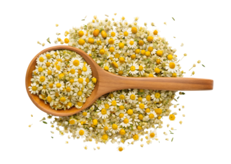 Watercolor Wooden spoon with chamomile flowers isolated on a transparent background
