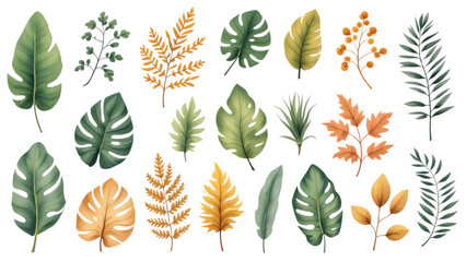 Fototapeta premium Tropical Leaves Collection, isolated on transparent background