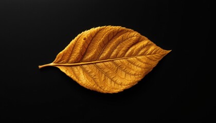 Fototapeta premium Golden Leaf on Dark Background Showcasing Natural Texture and Detail in Autumn Season