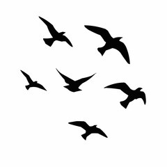 set of birds