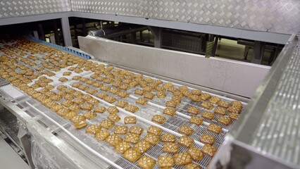 Cookies traveling on a conveyor belt, forming part of an automated production line in a large industrial food manufacturing plant