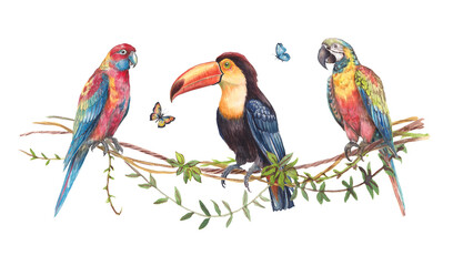Watercolor illustration of three exotic birds — two parrots and a toucan — perched on tropical branches with butterflies. Colorful, detailed, hand-painted wildlife composition for prints and design