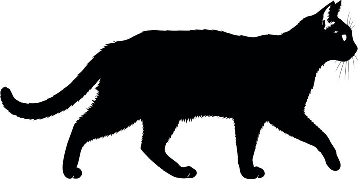Graceful black cat silhouette walking, a classic feline figure isolated on for design projects - Powered by Adobe