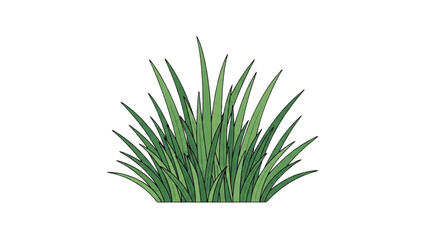 Vibrant green grass clump with detailed texture, perfect for nature-themed designs