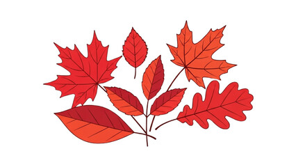 Fall Foliage Illustration Colorful Autumn Leaves on White Background