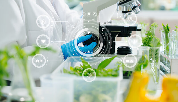 A scientist adjusting a microscope while analyzing plant samples in a high tech laboratory,