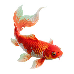 Vibrant Red and Orange Koi Fish with Elegant Tail