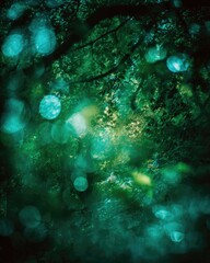 Emerald Green Bokeh Forest Background
