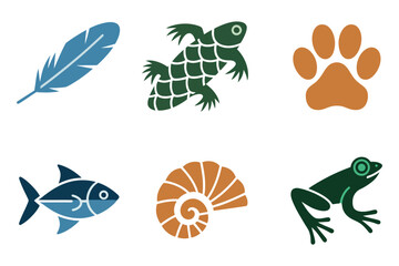 Zoology and nature icons, detailed feather, frog, paw print, fish, seashell, biology study flat vector set.