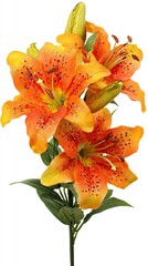 Orange Lily Flower Bouquet Closeup