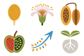 Botany agriculture icons, flower, seed pod, sprout, fruit, growth arrow, natural development flat illustration vector.