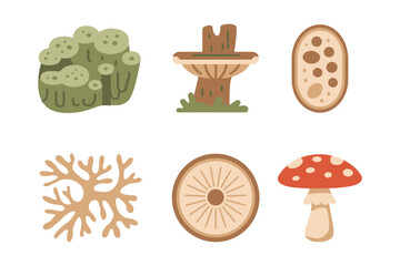 Mycology and fungi icons, detailed mushrooms, toadstools, spores, mycelium, plant root system, natural science vector set.