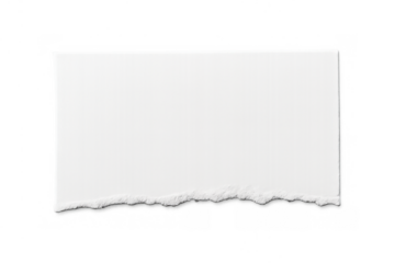 White ripped paper scrap banner with torn bottom edge, blank texture, space for text, transparent background