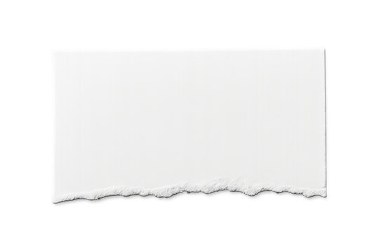 White ripped paper scrap banner with torn bottom edge, blank texture, space for text, transparent background
