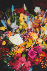 flowers in the garden