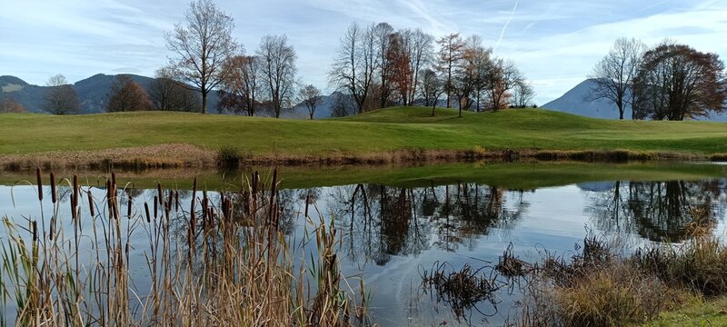 reflection in the pond