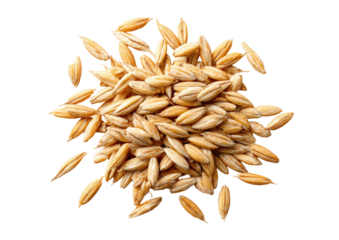 Pile of tan, husked oat grains forming a central clump