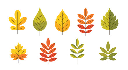 Fototapeta premium A set of eight colorful autumn leaves in a simple flat design style showcasing various leaf types like maple and rowan.