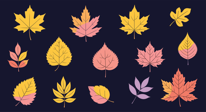 A collection of colorful autumn leaves of various tree species in a textured style isolated on a dark background for seasonal designs.