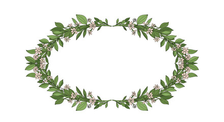 Naklejka premium An elegant and decorative oval frame made of green leafy branches and small white flowers perfect for wedding invitations or logos.