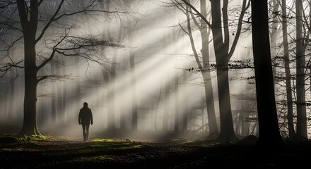 Man walking in a misty forest with sunbeams woods trees