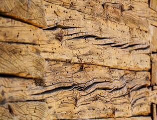 Fototapeta premium Old weathered wood texture with wormholes – rustic timber background