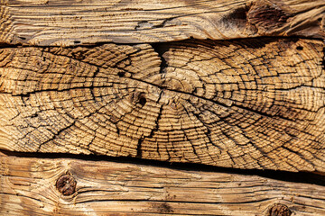Fototapeta premium Old wooden log end grain texture with cracks and rings