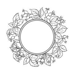 Wild Rose Branch with Berries and Leaves Outline Round Frame. Vector isolated for design or decoration.