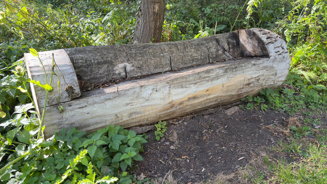 Rustic handmade wooden bench carved from a single tree trunk log in green nature