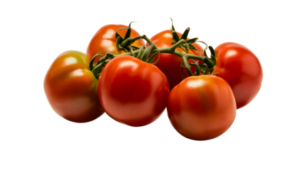 A cluster of ripe roma tomatoes with stems attached showcasing their elongated shape and deep red color isolated on transparent background