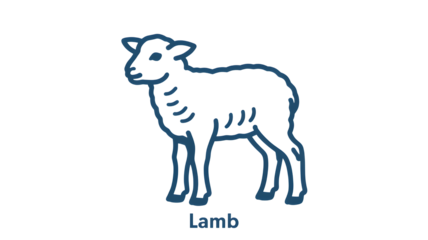 Simple line drawing of a young lamb standing gracefully isolated on transparent background