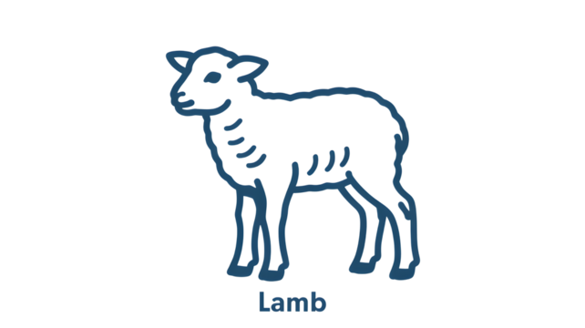 Simple line drawing of a young lamb standing gracefully isolated on transparent background