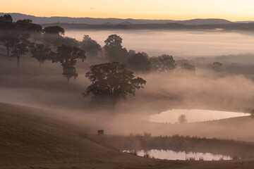 Foggy dawn in the misty hills