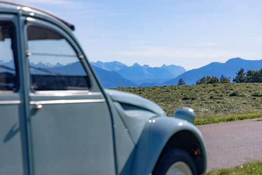 Ente in den bayerischen Alpen