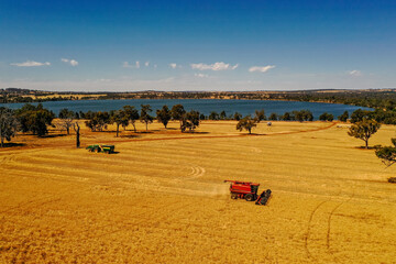 Headers harvest a barley paddock beside a lake