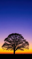 Naklejka premium Stunning sunset silhouette of a majestic tree against a vibrant sky