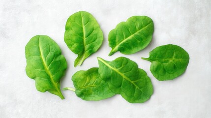 Obraz premium Fresh sorrel leaves on white background isolated. Generative AI