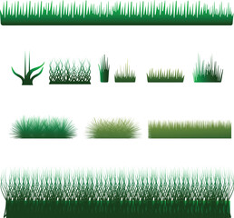 Collection of Green Grass Borders and Tufts