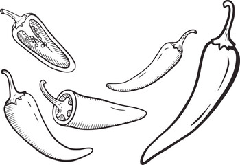 Black and white line drawing of assorted chili peppers