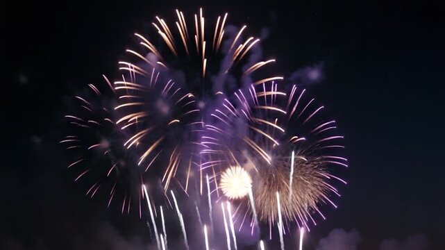 Vibrant fireworks display in purple and white exploding against a night sky showcasing various shapes and sizes with smoke clouds enhancing the colorful bursts in a festive atmosphere.