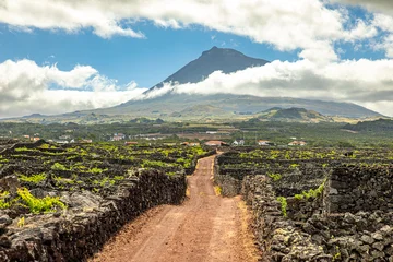 Traditional vineyards in front of Pico, Azores, Portugal © A. Karnholz