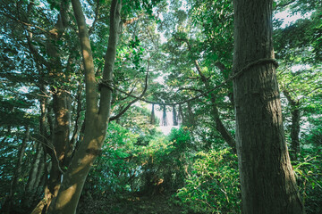 伊射波神社の美しい風景