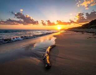 Beach landscape at dusk with sun rays, waves, and driftwood