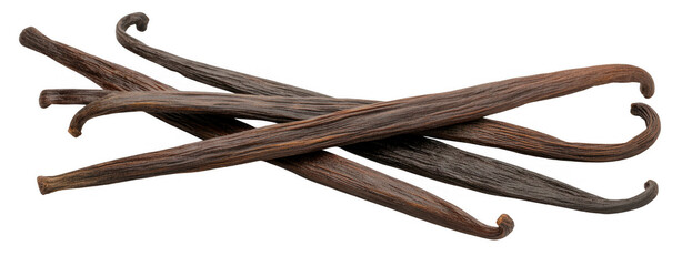 Vanilla beans on black background isolated on a transparent background