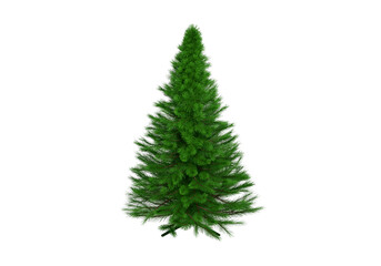 Christmas tree, transparent background