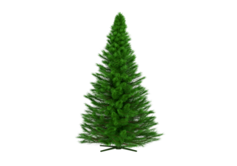 Christmas tree, transparent background