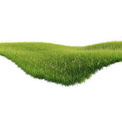 Lush green grass patch with transparent background